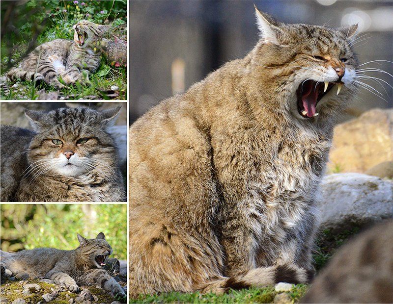 Fotografie Alfons Weber
