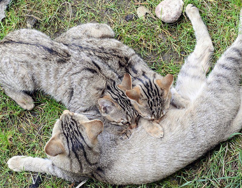 Fotografie Alfons Weber
