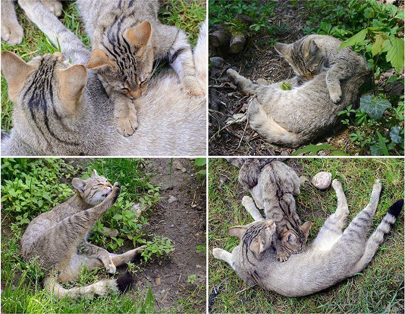 Fotografie Alfons Weber
