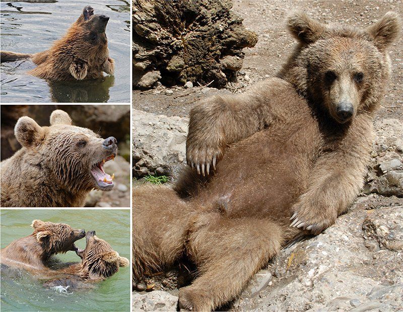 Fotografie Alfons Weber
