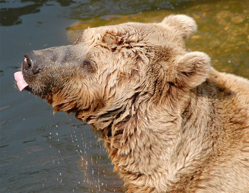 Fotografie Alfons Weber
