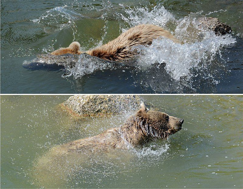 Fotografie Alfons Weber

