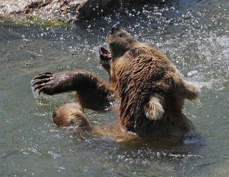 Fotografie Alfons Weber
