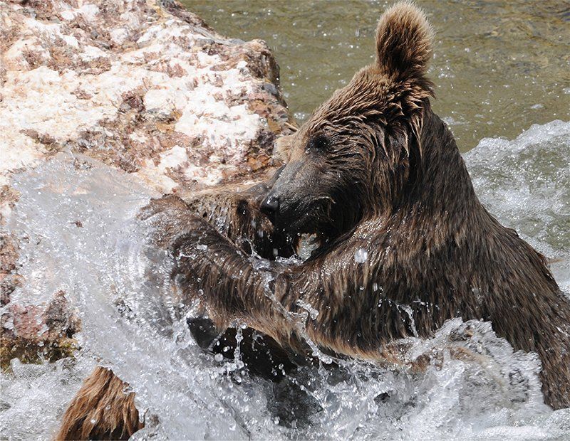 Fotografie Alfons Weber
