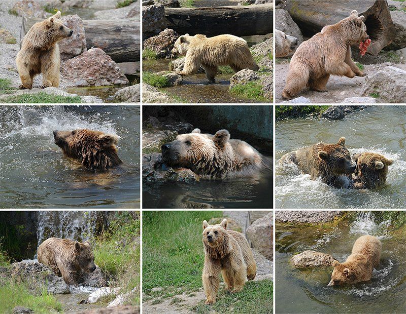 Fotografie Alfons Weber
