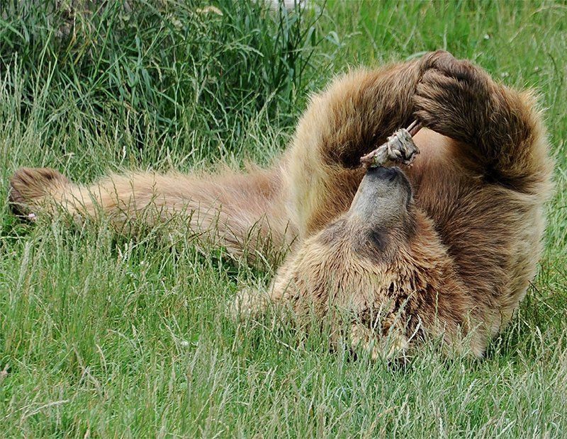 Fotografie Alfons Weber
