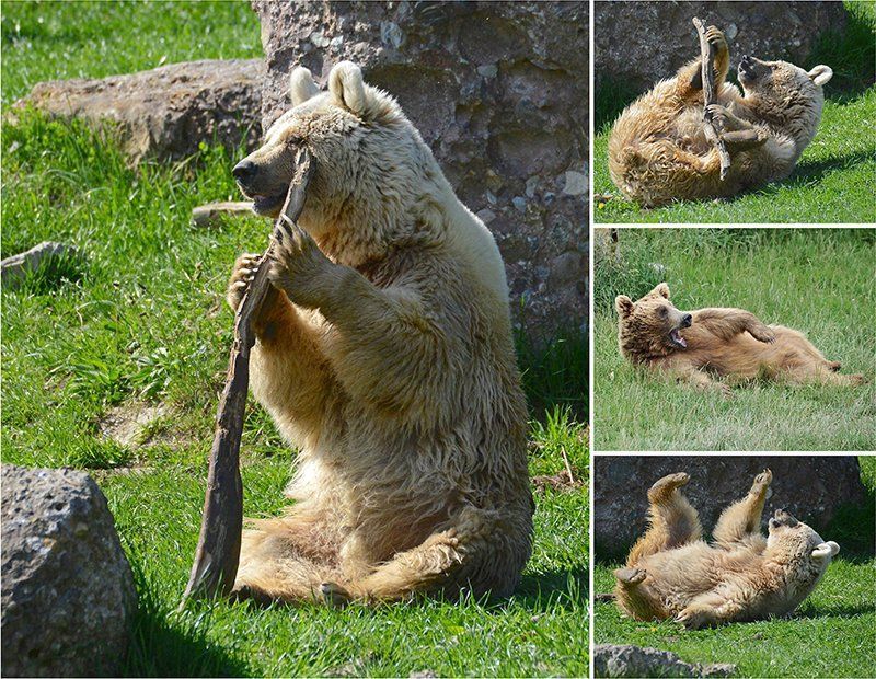 Fotografie Alfons Weber
