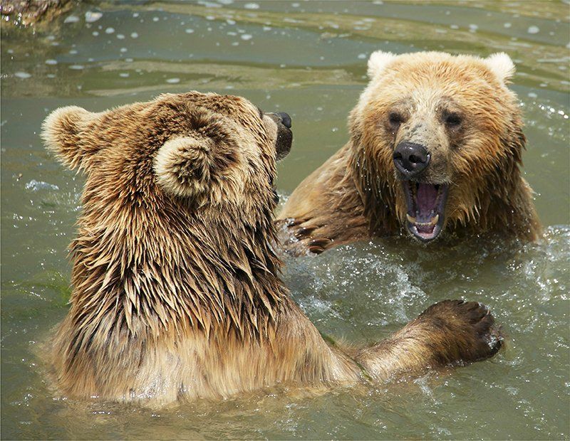 Fotografie Alfons Weber
