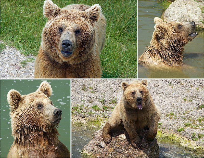 Fotografie Alfons Weber
