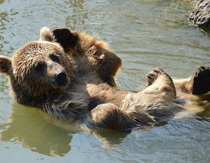 Fotografie Alfons Weber
