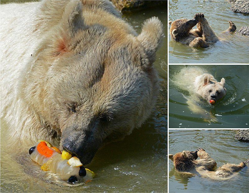 Fotografie Alfons Weber
