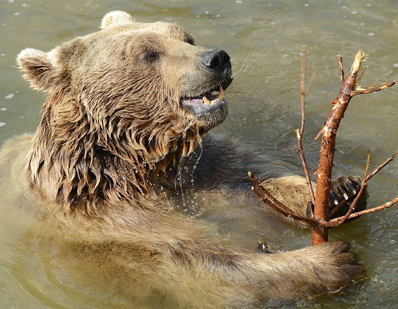 Fotografie Alfons Weber
