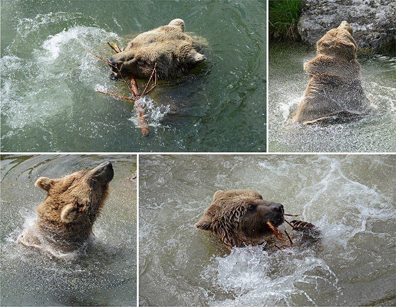 Fotografie Alfons Weber

