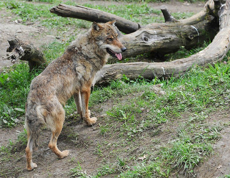 Fotografie Alfons Weber
