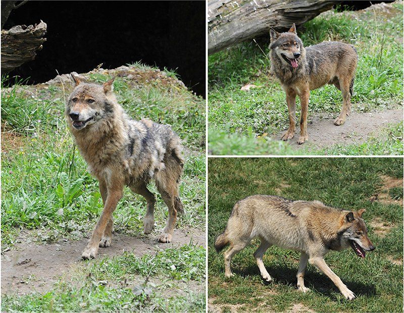 Fotografie Alfons Weber
