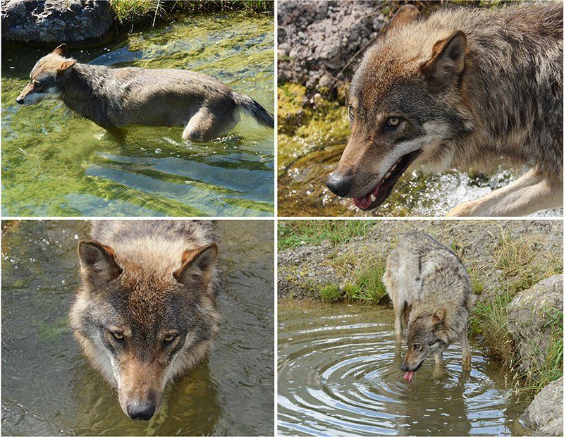 Fotografie Alfons Weber
