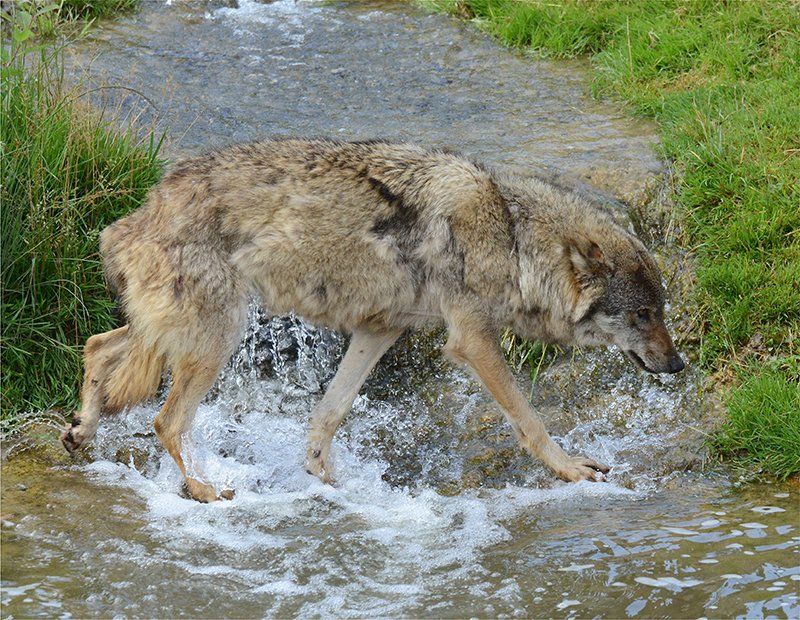 Fotografie Alfons Weber
