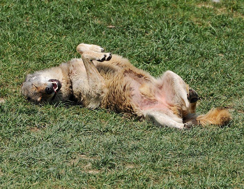 Fotografie Alfons Weber
