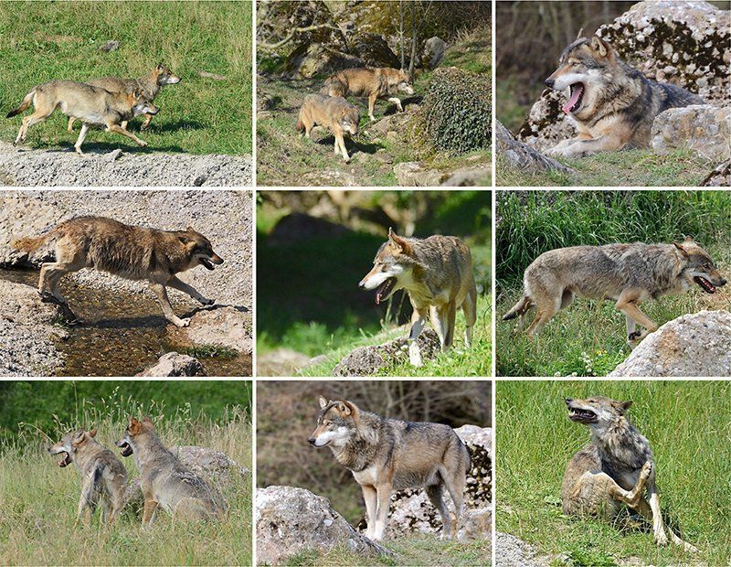 Fotografie Alfons Weber
