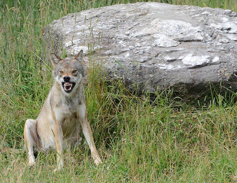 Fotografie Alfons Weber
