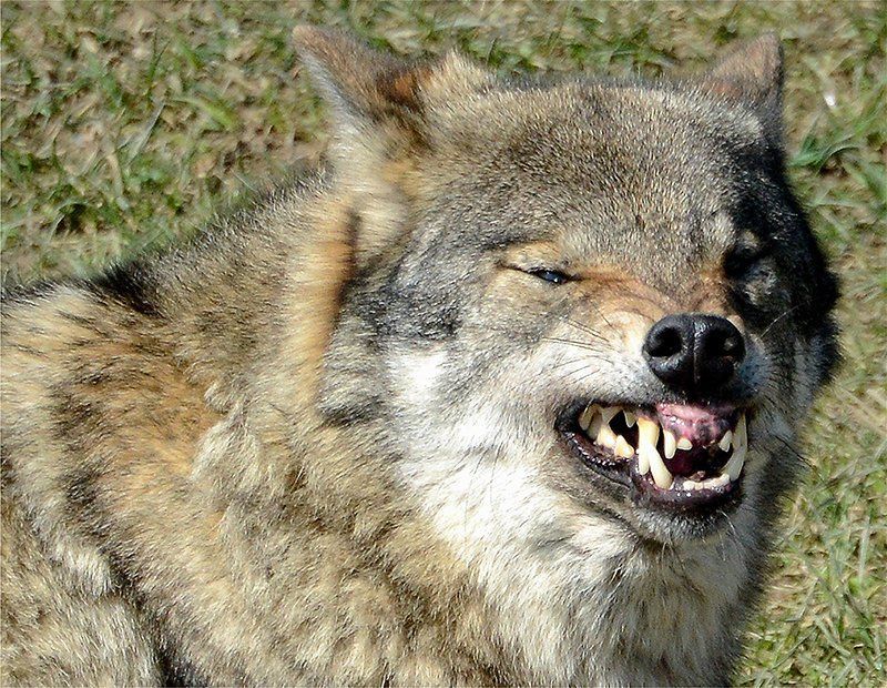 Fotografie Alfons Weber
