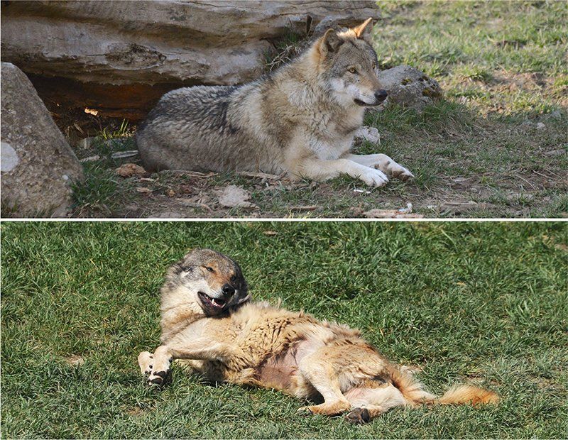 Fotografie Alfons Weber
