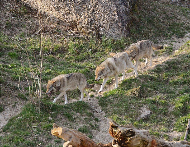 Fotografie Alfons Weber
