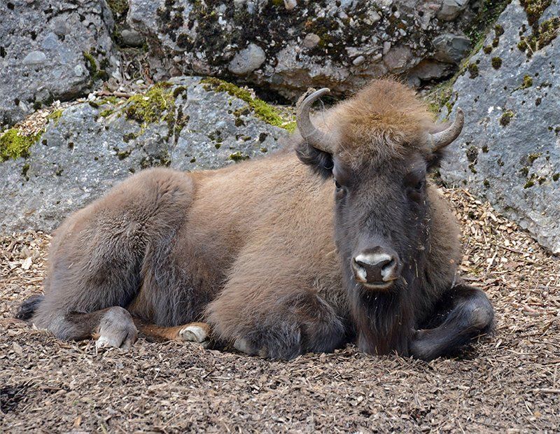 Fotografie Alfons Weber
