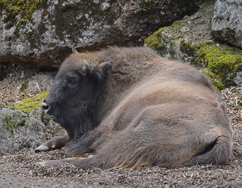 Fotografie Alfons Weber

