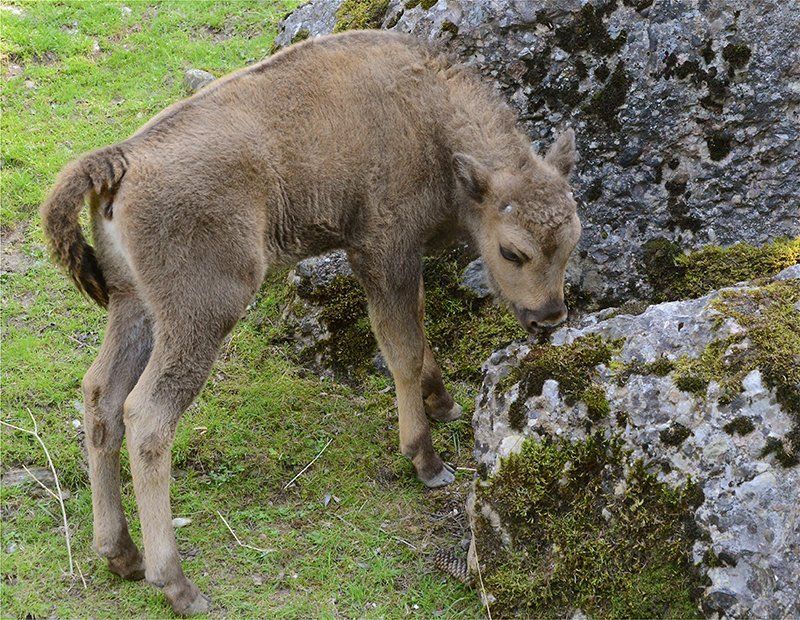 Fotografie Alfons Weber
