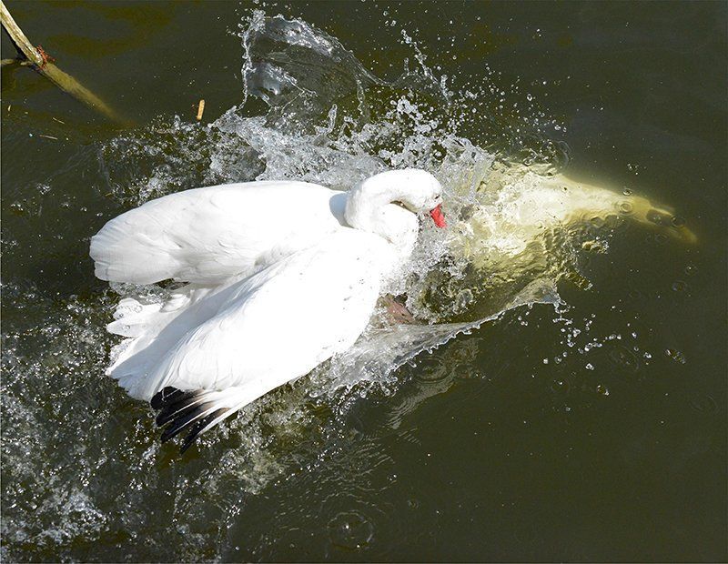 Fotografie Alfons Weber
