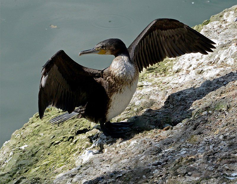 Fotografie Alfons Weber
