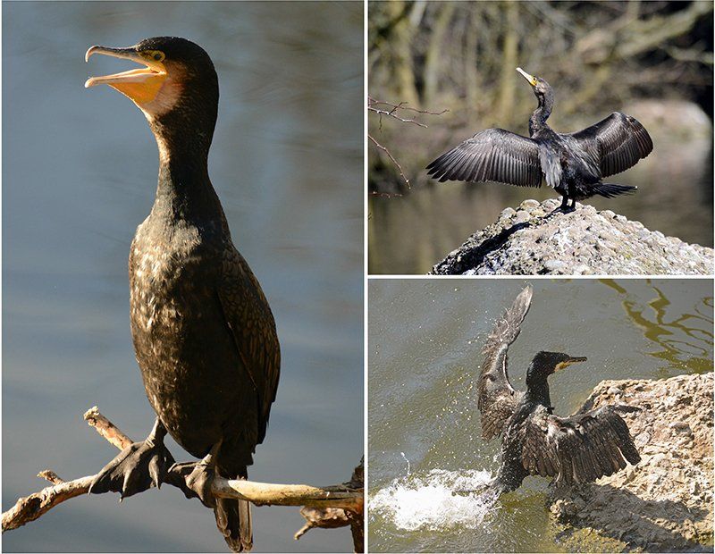 Fotografie Alfons Weber
