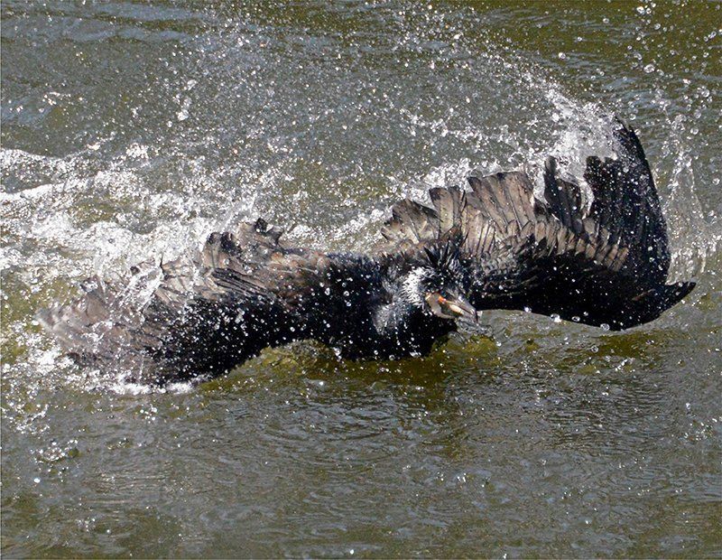 Fotografie Alfons Weber
