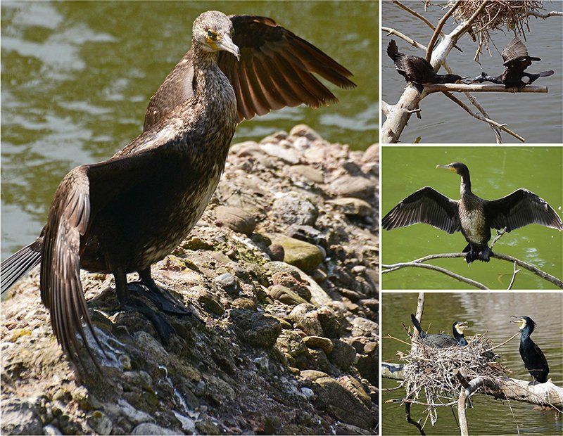 Fotografie Alfons Weber
