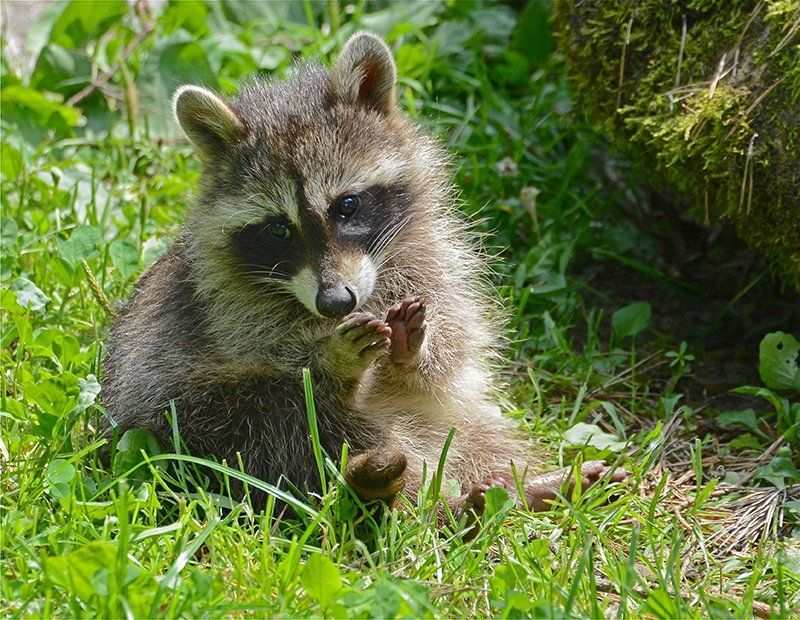 Fotografie Alfons Weber
