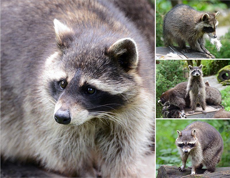 Fotografie Alfons Weber
