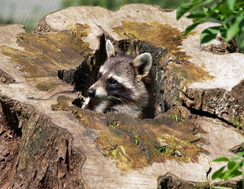 Fotografie Alfons Weber
