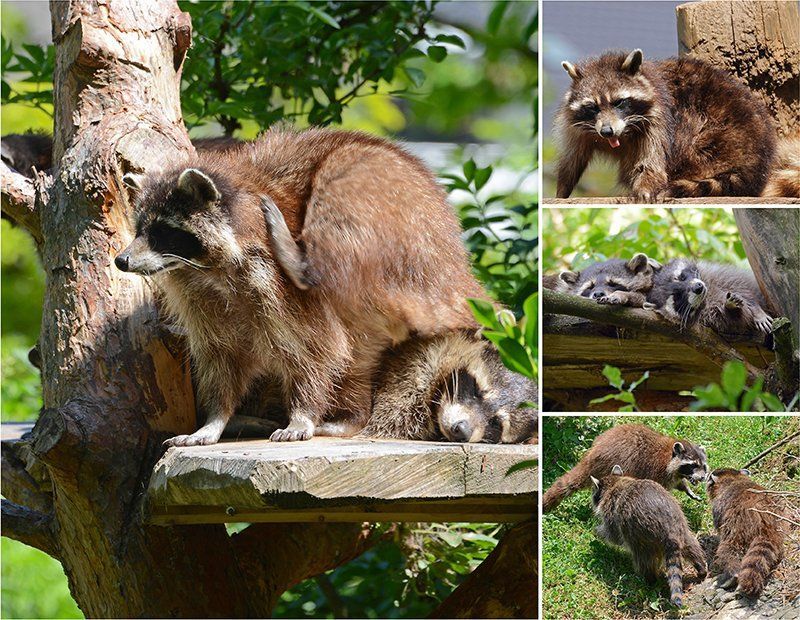 Fotografie Alfons Weber
