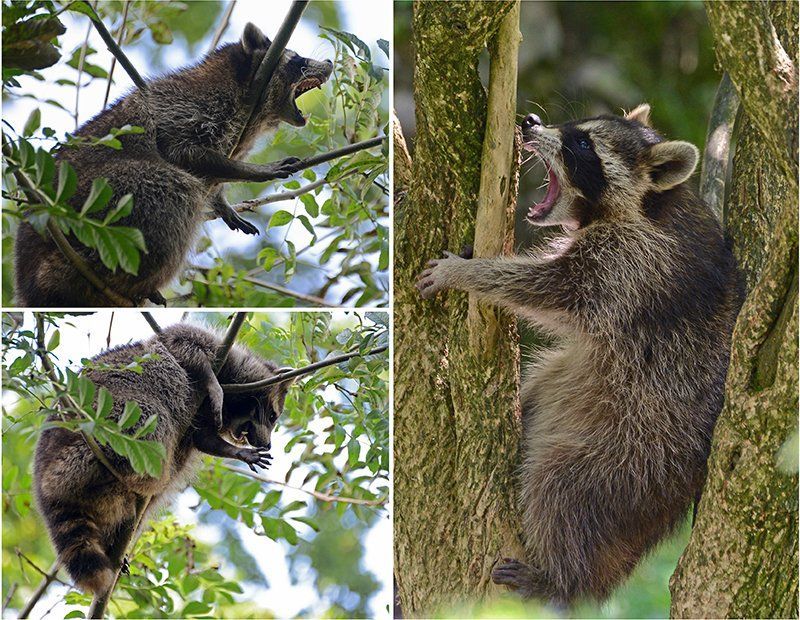 Fotografie Alfons Weber
