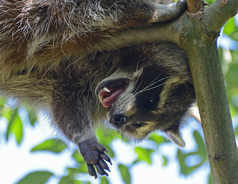 Fotografie Alfons Weber
