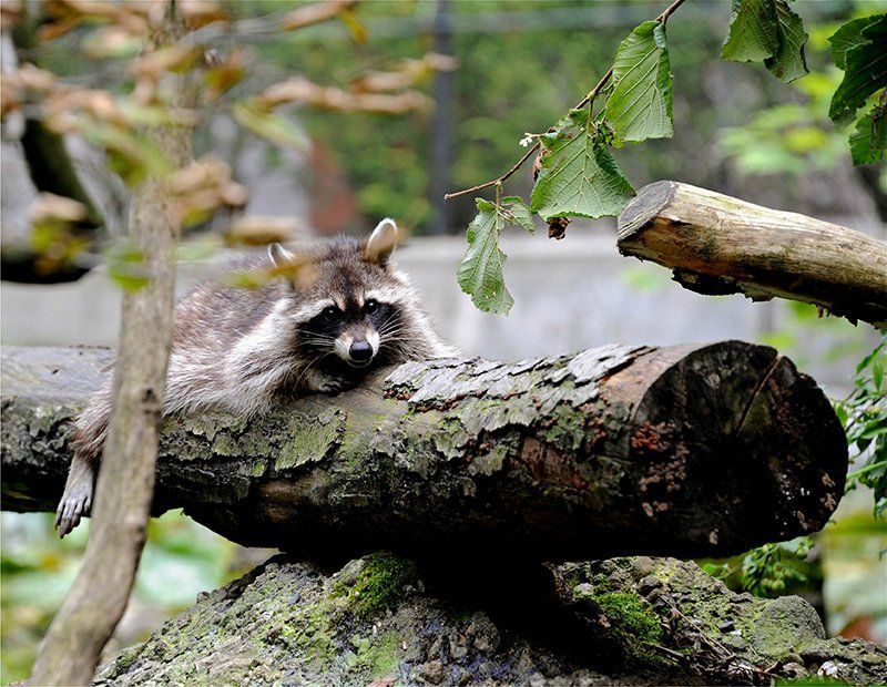 Fotografie Alfons Weber

