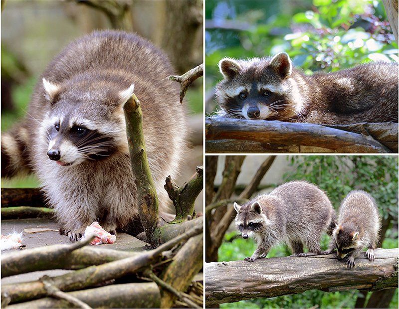 Fotografie Alfons Weber
