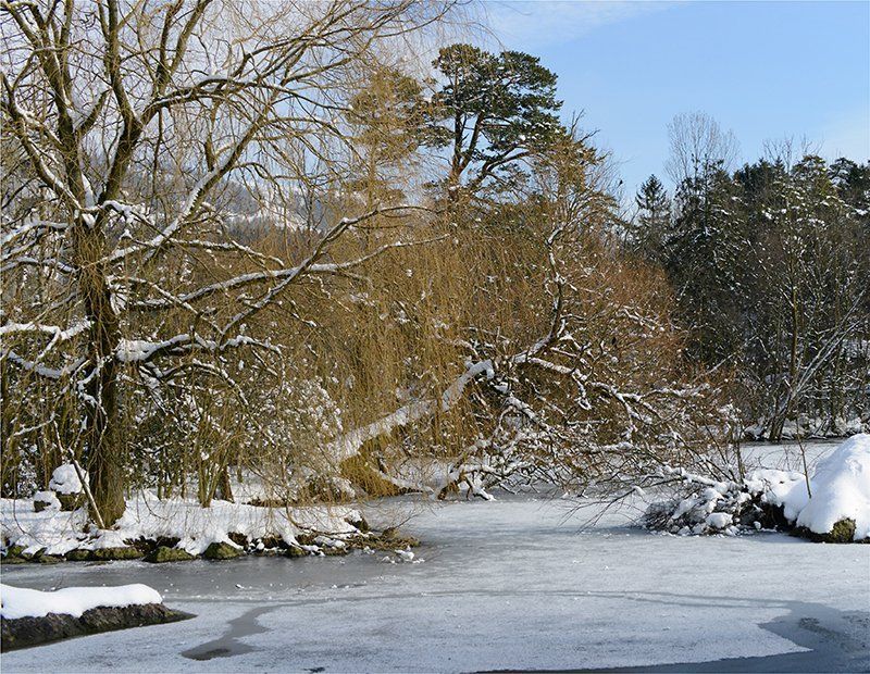 Fotografie Alfons Weber
