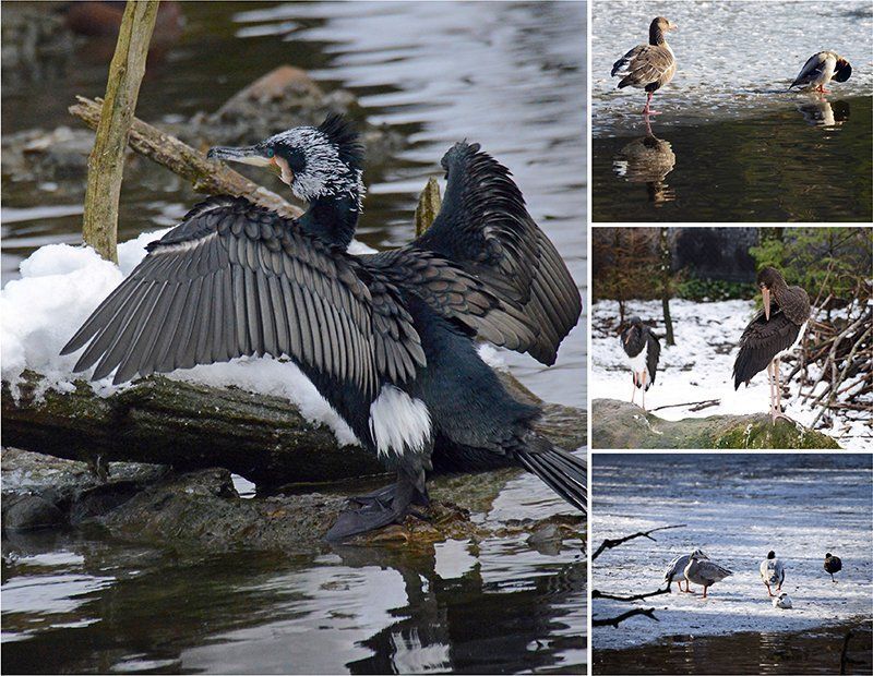 Fotografie Alfons Weber
