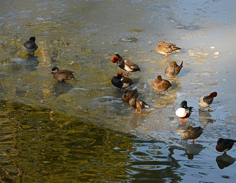 Fotografie Alfons Weber
