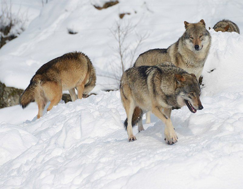 Fotografie Alfons Weber
