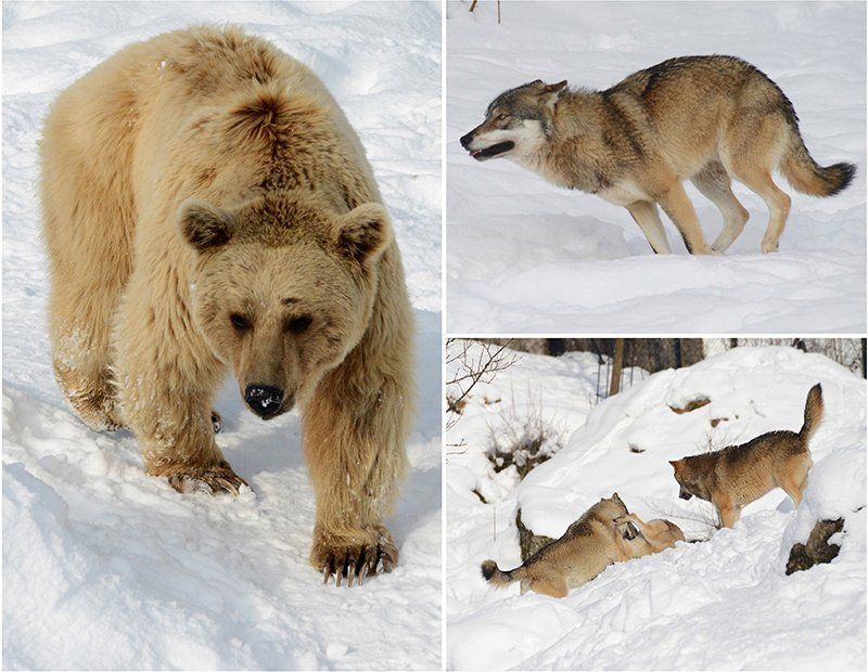 Fotografie Alfons Weber

