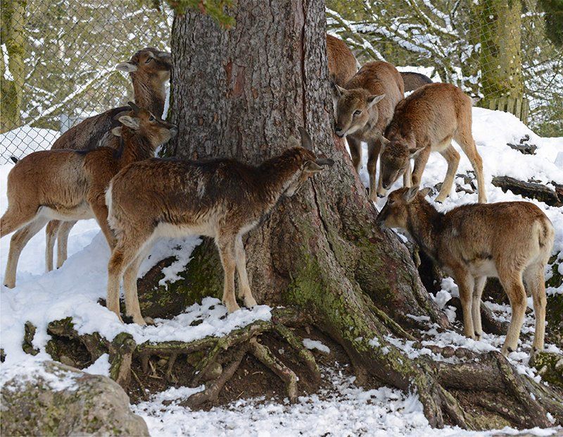 Fotografie Alfons Weber
