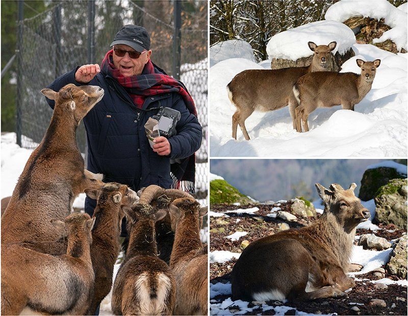 Fotografie Alfons Weber
